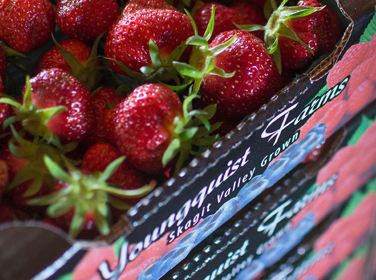 Opal Apples are in house now! Grown by - Charlie's Produce